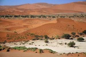 From Windhoek: Budget Sossusvlei Guided 2-Day Tour
