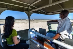 3-Day Etosha Safari Camp Gondwana from Windhoek