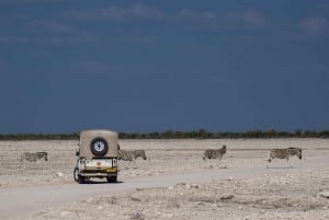 3-Day Etosha Safari Camp Gondwana from Windhoek