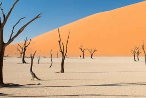 3-Day Sossusvlei Guided Experience From Windhoek