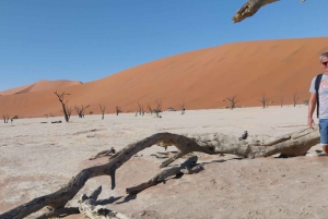 3 Day Sossusvlei | Private Guided Camping