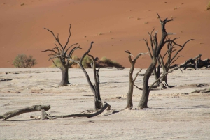 3 Day Sossusvlei | Private Guided Camping