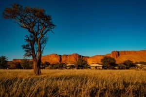 3 Days Safari Tour in Sossusvlei and Namib Desert