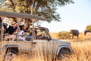 4 Day Rejuvenating Kwando River Expedition- Namushasha Lodge