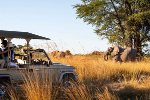 4 Day Rejuvenating Kwando River Expedition- Namushasha Lodge