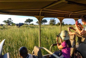 4 Day Rejuvenating Kwando River Expedition- Namushasha Lodge