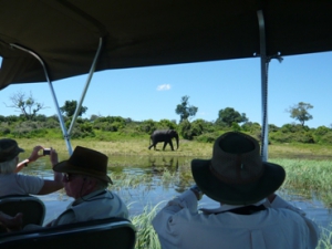 African Profile Safaris