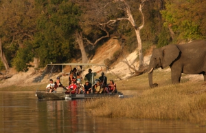 African Profile Safaris