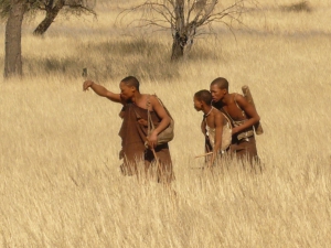 African Profile Safaris