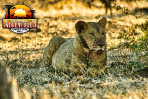 BBQ/Braii Safari Game Drive next to waterhole in Chamabondo