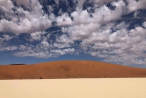 Beauty of Namib Desert