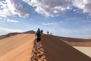 Beauty of Namib Desert