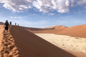 Beauty of Namib Desert