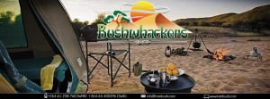 Bushwackers