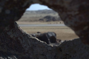 Cape Cross and Henties Bay Guided Tour SkeletonCoast Namibia