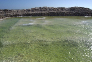 Cape Cross and Henties Bay Guided Tour SkeletonCoast Namibia