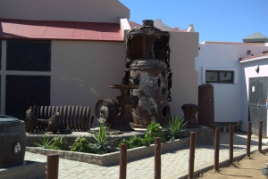 Cape Cross and Henties Bay Guided Tour SkeletonCoast Namibia