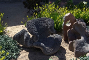 Cape Cross and Henties Bay Guided Tour SkeletonCoast Namibia