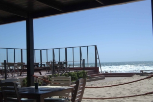 Cape Cross and Henties Bay Guided Tour SkeletonCoast Namibia