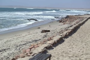 Cape Cross and Henties Bay Guided Tour SkeletonCoast Namibia