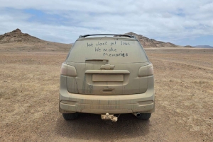 Cape Cross, Seals and River Desert Nature Tour [New Route]