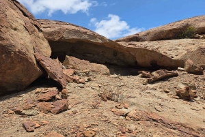 Cape Cross, Seals and River Desert Nature Tour [New Route]