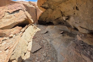 Cape Cross, Seals and River Desert Nature Tour [New Route]