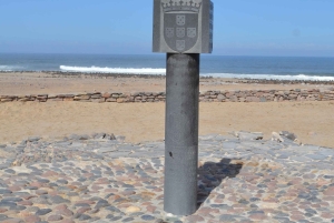 Cape Cross, Seals and River Desert Nature Tour [New Route]