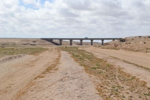 Cape Cross, Seals and River Desert Nature Tour [New Route]