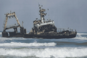 Cape Cross, Seals and River Desert Nature Tour [New Route]