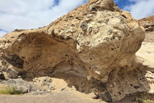 Cape Cross, Seals and River Desert Nature Tour [New Route]