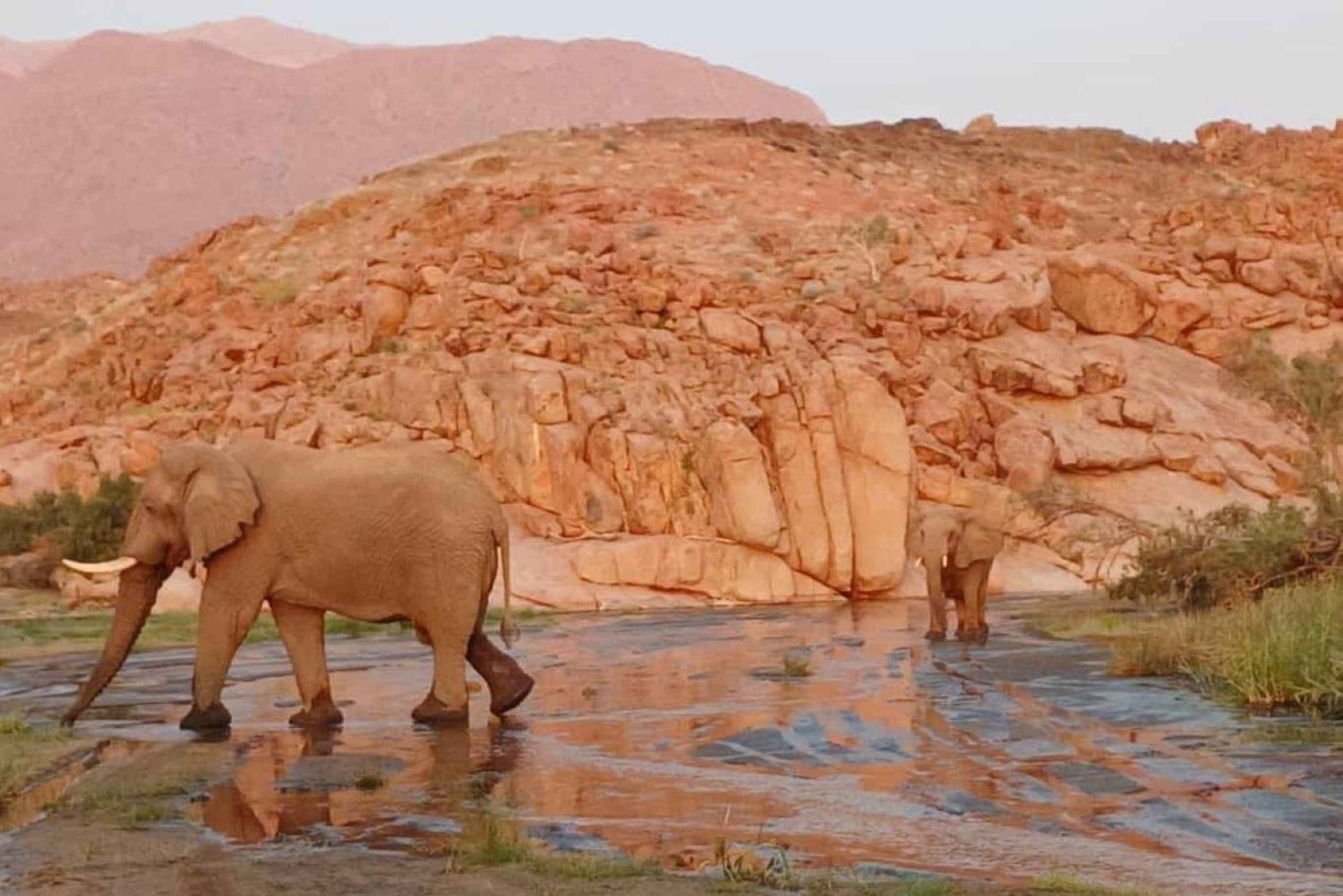 Damaraland: 3-Day Elephant & Brandberg Adventure Tour