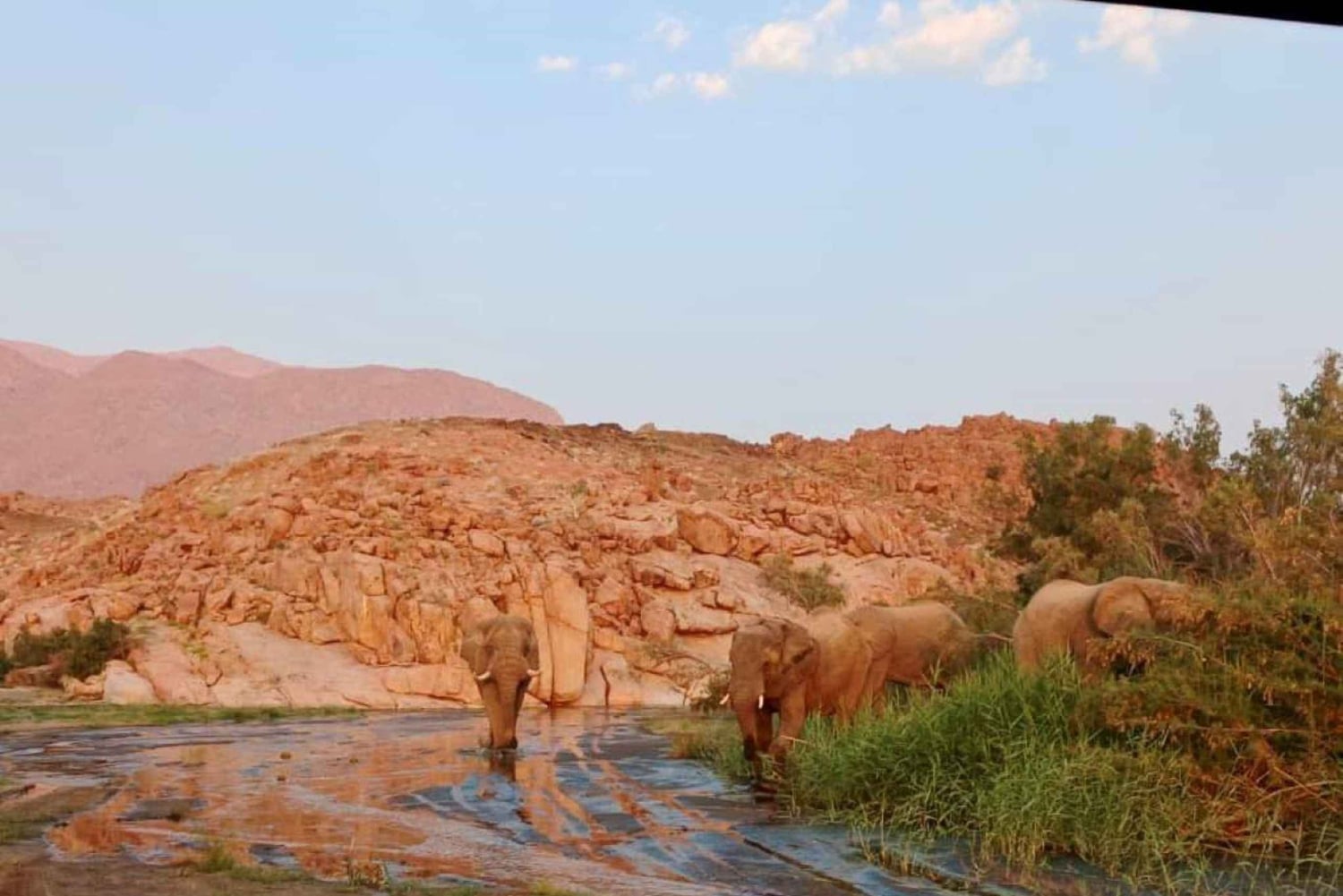 Damaraland: 3-Day Elephant & Brandberg Adventure Tour