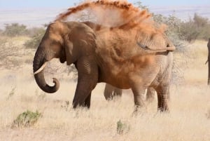 Damaraland: 3-Day Elephant & Brandberg Adventure Tour