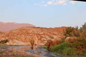 Damaraland: 3-Day Elephant & Brandberg Adventure Tour