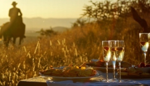 Best Things To Do in Namibia