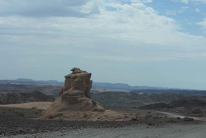 Elephant Adventure with Herson - a native of Damaraland