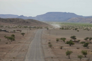 Elephant Adventure with Herson - a native of Damaraland