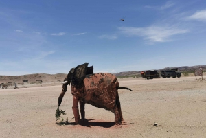 Elephant Adventure with Herson - a native of Damaraland