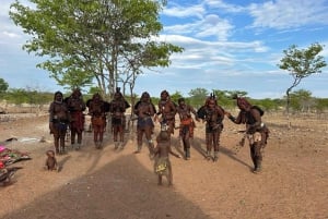 Etosha National Park: Himba Village Cultural Tour