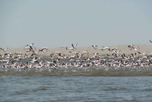 Etosha National Park & Swakopmund Tour