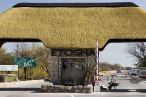 Etosha National Park:Transportation and tours to Etosha park