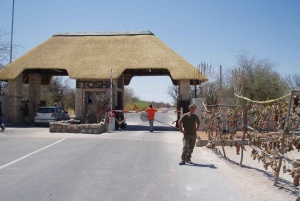 Etosha National Park:Transportation and tours to Etosha park