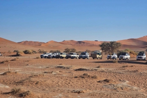 From Johannesburg : 6 Day Namibia Tour