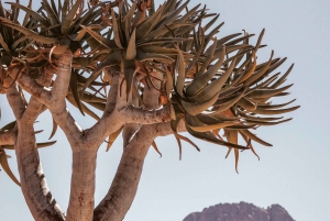 Swakopmund/Walvis Bay: Spitzkoppe Mountains