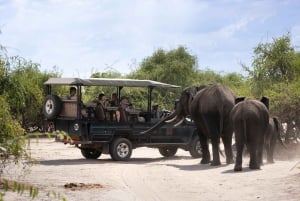 From Victoria Falls: Chobe & Namibian Island Tour with Lunch