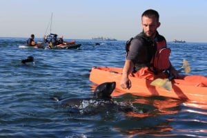 From Walvis Bay: Half-Day Eco-Friendly Kayak Tour