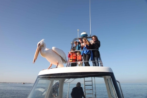From Walvis Bay: Namibian Coast Day Cruise with Lunch