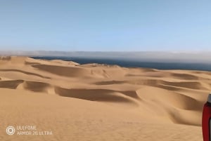 From Walvis Bay: Sandwich Harbour World Heritage Site