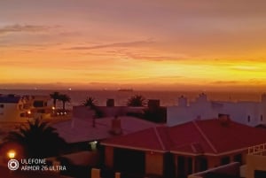 From Walvis Bay: Sandwich Harbour World Heritage Site